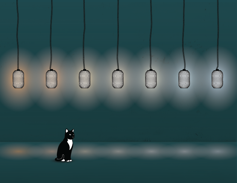 A tuxedo cat, Boo Boo, sits beneath seven warm-glowing pendant lights on a cool teal wall, illustrating the contrast between warm and cool color temperatures.