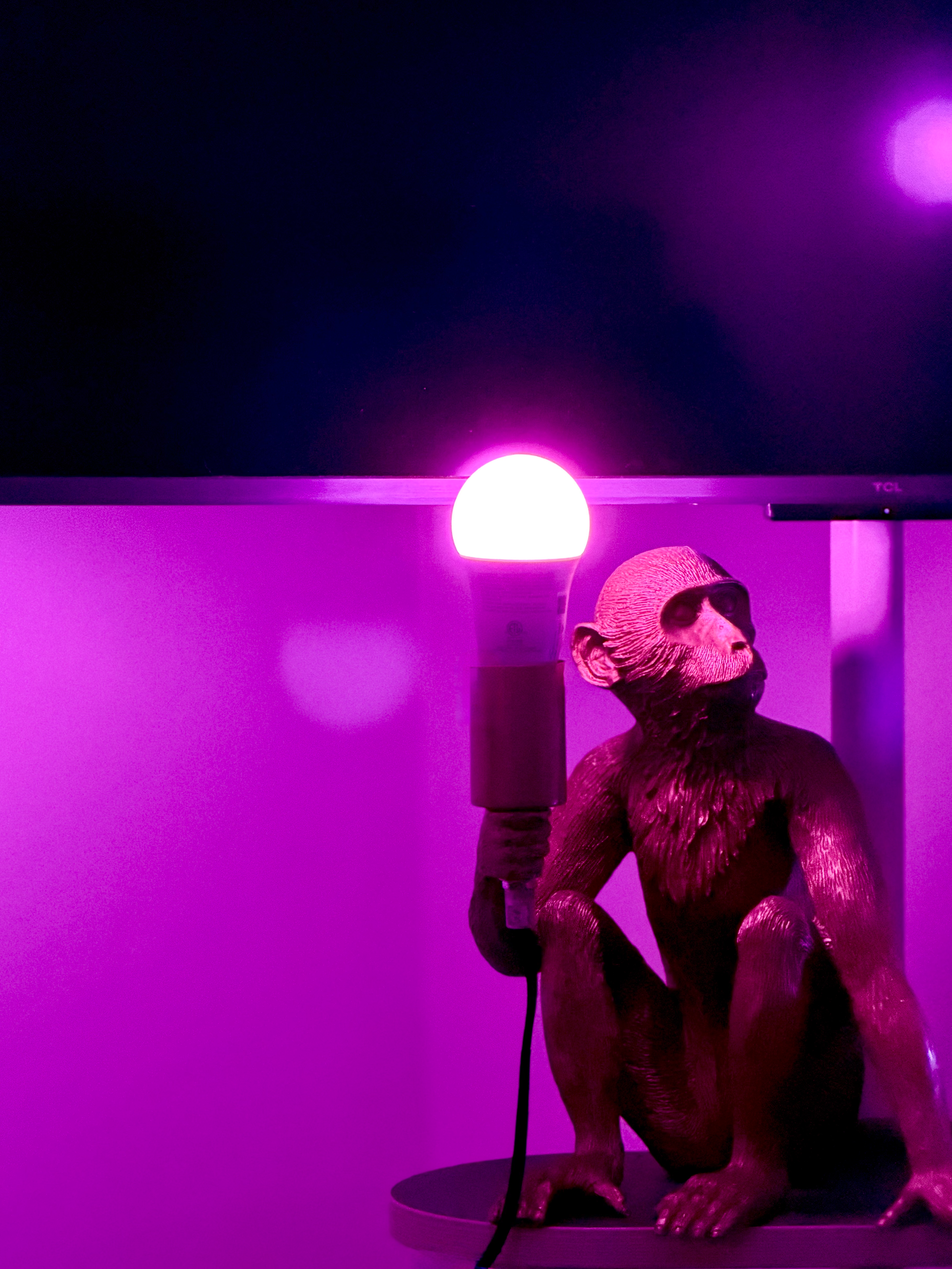 A resin monkey-shaped lamp holding a glowing bulb, lit in purple and pink tones against a dark background.